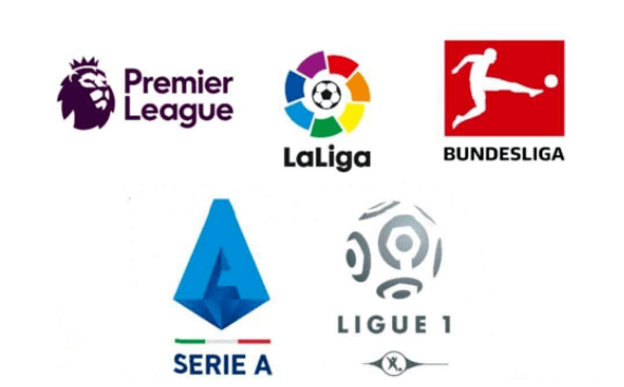 与调整能力 与调整能力